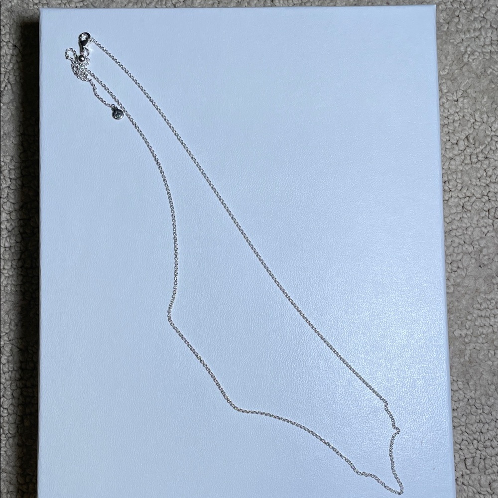 Pandora Silver Chain Necklace